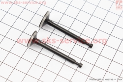  ,  - 2 HONDA GX35 (CG438) - 4 (202534)