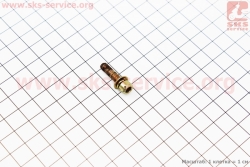 ���� M5x20 � �������, (� ����������) (202670)