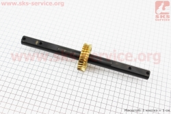 �������� ������������+��� (202785)