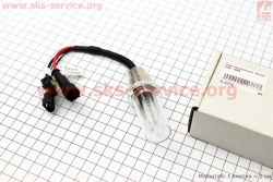 Лампа XENON H6 (12V 35W DC AMP) 4300K, шт (301873)