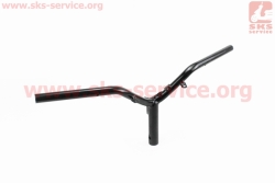 ���� RACE (314079)