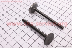 ������ ��������, ��������� �-�� 70�� DELTA (318545)