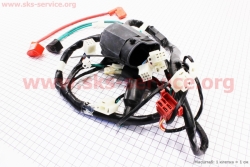 Viper - ZS250GS �������� ������� (501222)